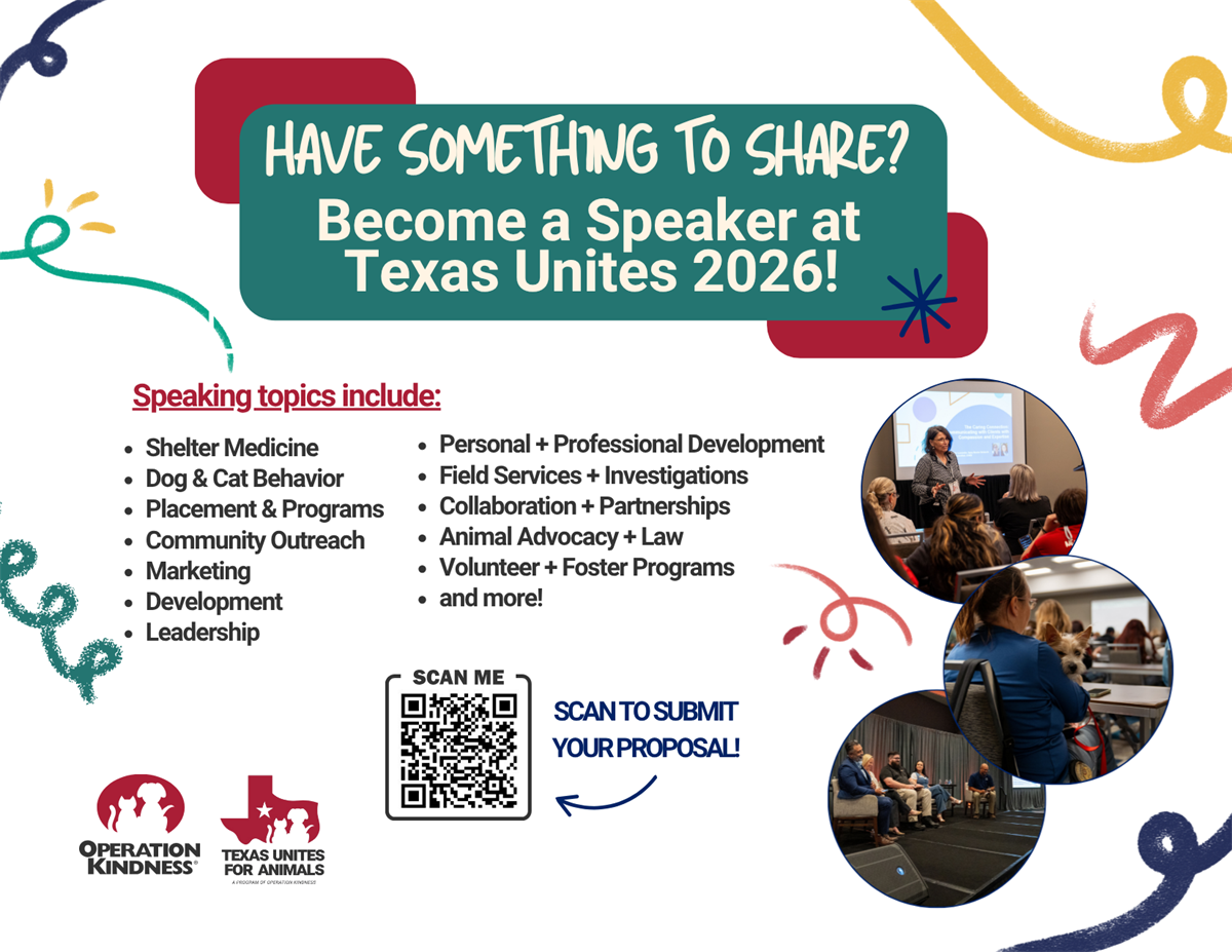 red, teal, green, yellow sqiuggles, become a speaker at texas unites, speaker topics, scan QR code